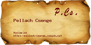 Pellach Csenge névjegykártya